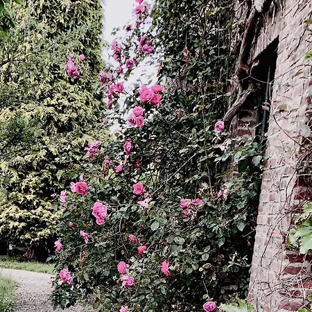 Aux Bonheurs Des Roses Guest house Valmont (Seine-Maritime)