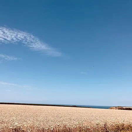 Aux Bonheurs Des Roses * Valmont (Seine-Maritime)